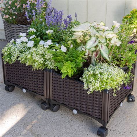 raised planter boxes australia